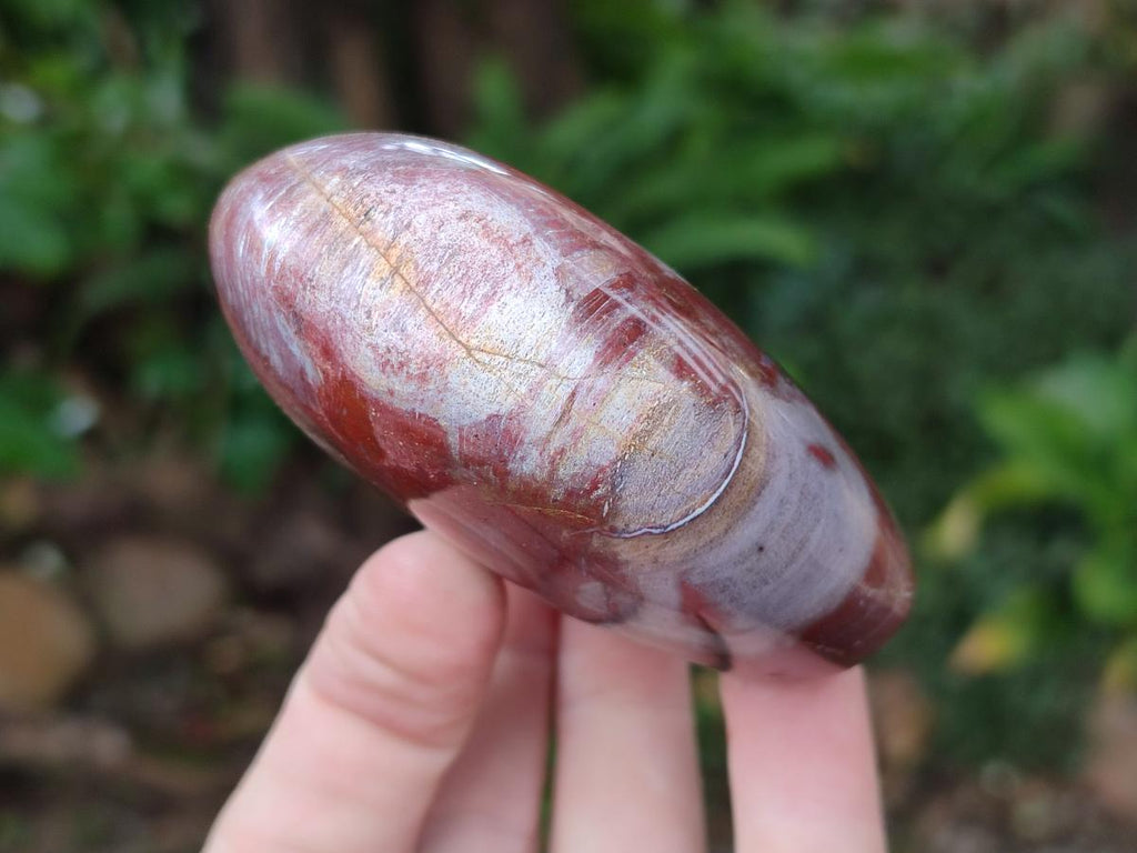 Polished Red Podocarpus Petrified Wood Standing Display Pieces x 4 From Mahajanga, Madagascar - Toprock Gemstones and Minerals 