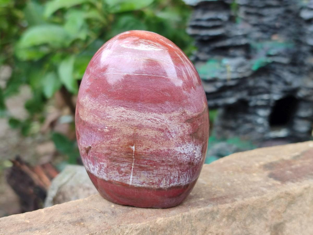 Polished Red Podocarpus Petrified Wood Standing Display Pieces x 4 From Mahajanga, Madagascar - Toprock Gemstones and Minerals 