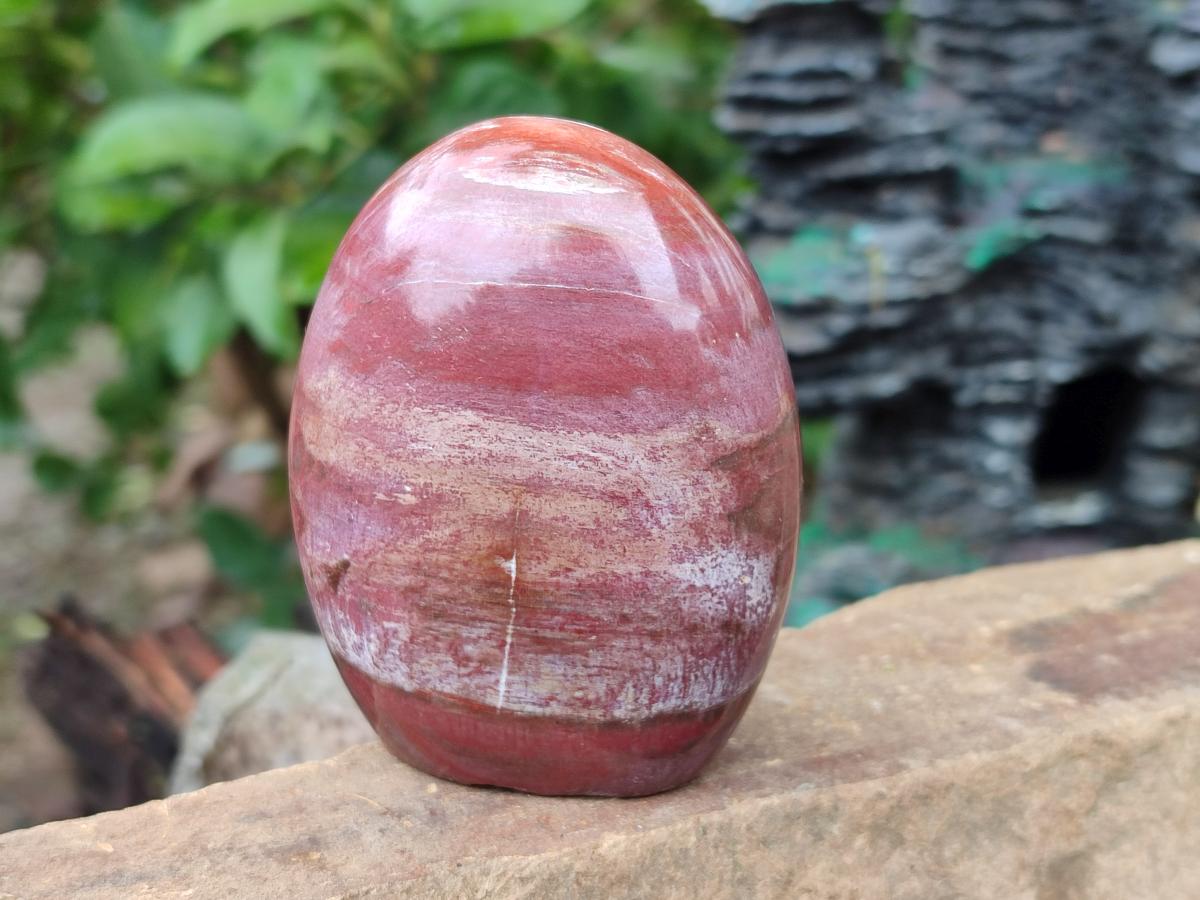 Polished Red Podocarpus Petrified Wood Standing Display Pieces x 4 From Mahajanga, Madagascar - Toprock Gemstones and Minerals 