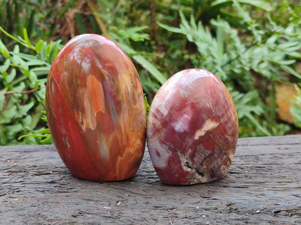 Polished Red Podocarpus Petrified Wood Standing Display Pieces x 4 From Mahajanga, Madagascar - Toprock Gemstones and Minerals 