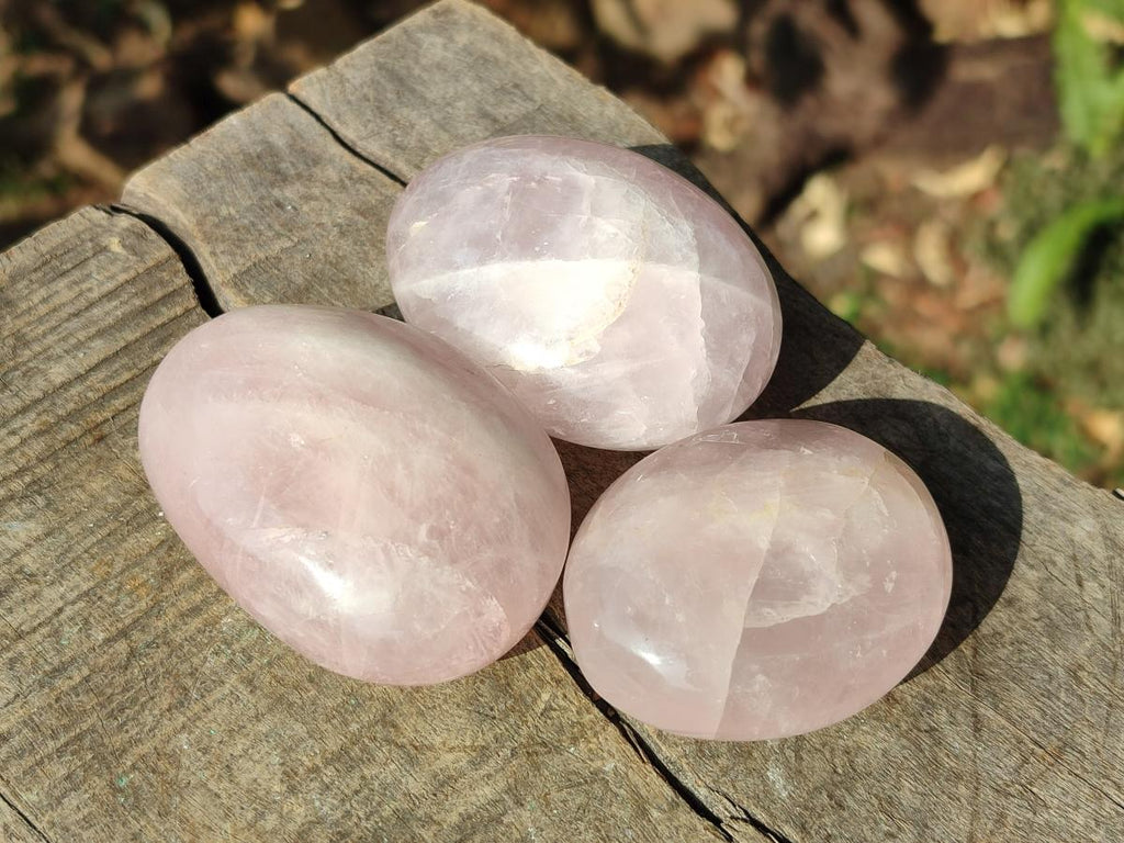 Polished Gemmy Rose Quartz Palm Stones x 24 From Madagascar - Toprock Gemstones and Minerals 