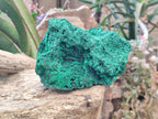 Natural Large Cabinet Silky Malachite Specimen x 1 From Kasompe, Congo - Toprock Gemstones and Minerals 