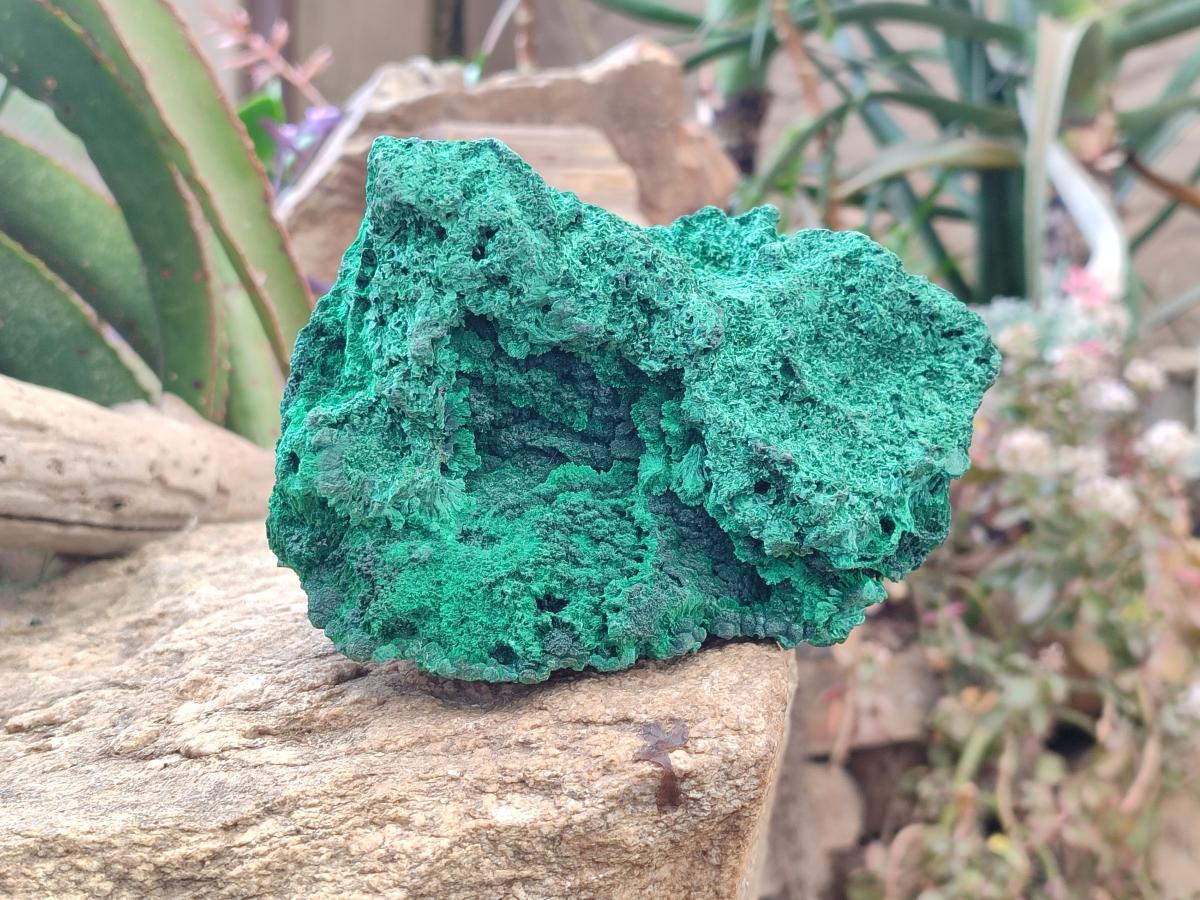 Natural Large Cabinet Silky Malachite Specimen x 1 From Kasompe, Congo - Toprock Gemstones and Minerals 