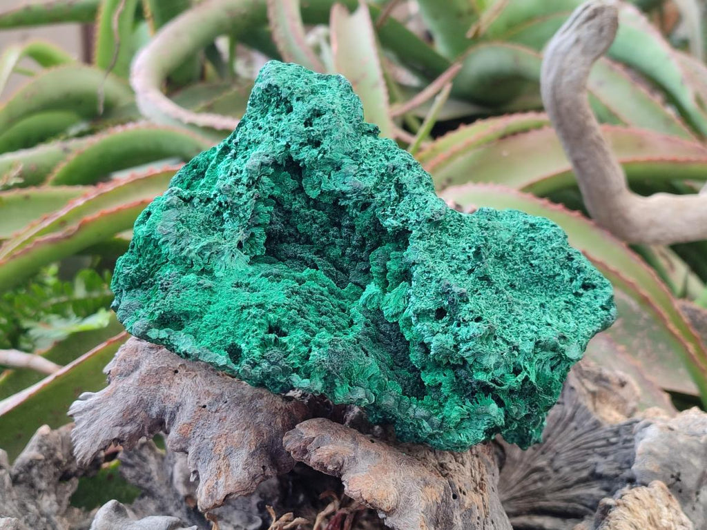 Natural Large Cabinet Silky Malachite Specimen x 1 From Kasompe, Congo - Toprock Gemstones and Minerals 