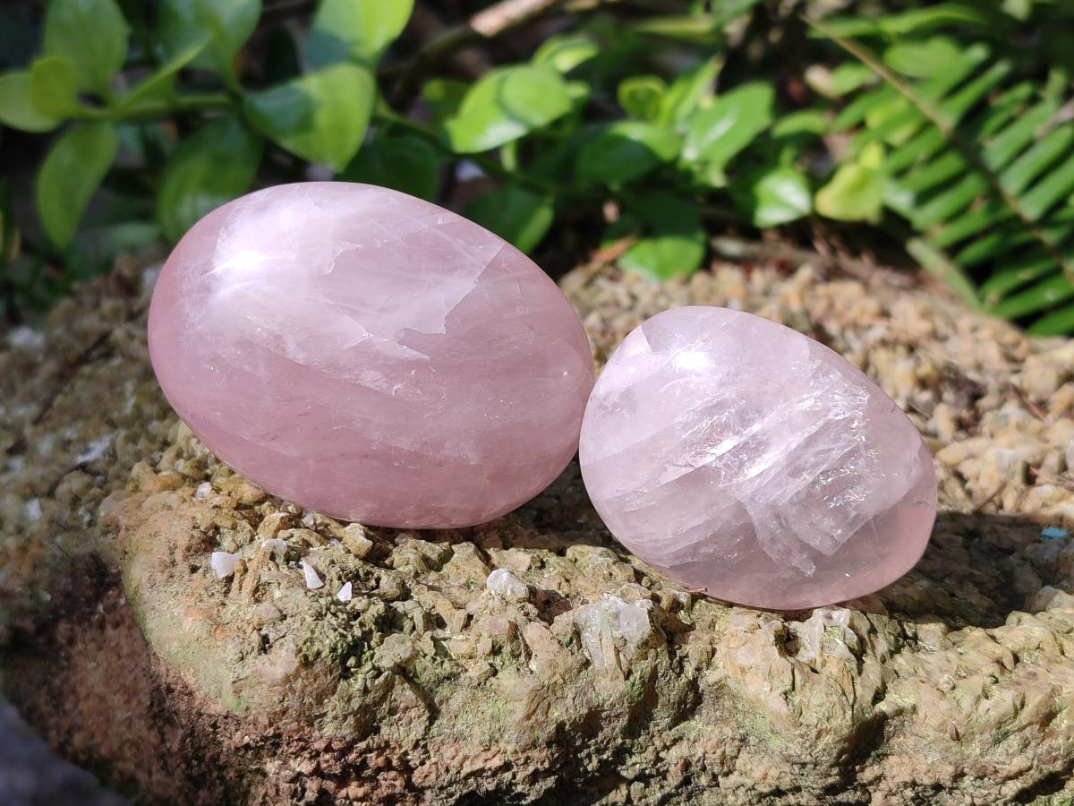 Polished Gemmy Rose Quartz Palm Stones x 24 From Madagascar - Toprock Gemstones and Minerals 