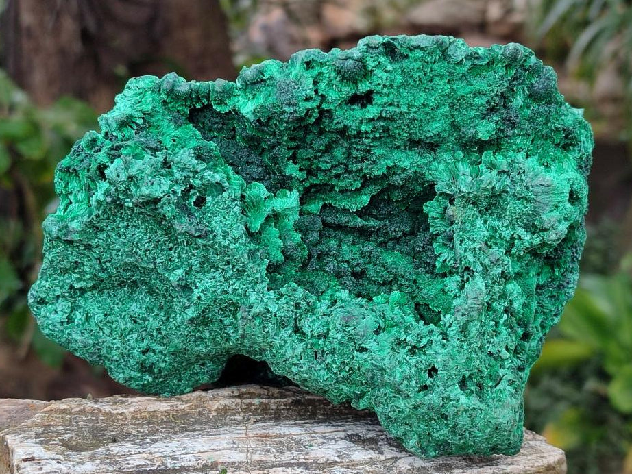Natural Large Cabinet Silky Malachite Specimen x 1 From Kasompe, Congo - Toprock Gemstones and Minerals 