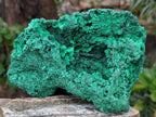 Natural Large Cabinet Silky Malachite Specimen x 1 From Kasompe, Congo - Toprock Gemstones and Minerals 