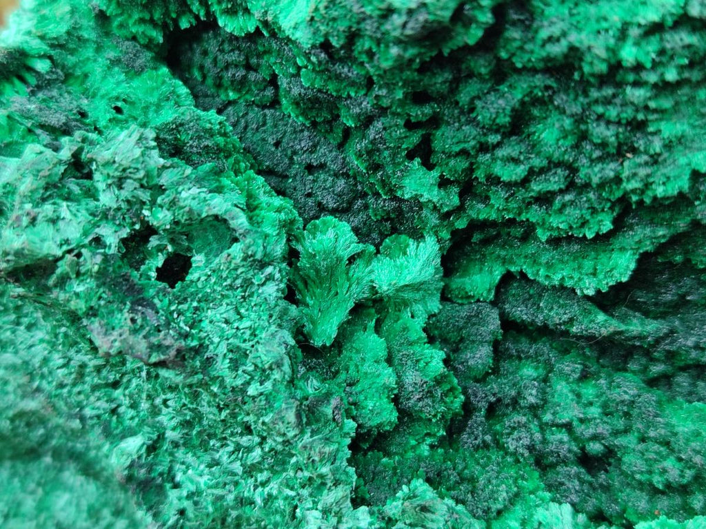 Natural Large Cabinet Silky Malachite Specimen x 1 From Kasompe, Congo - Toprock Gemstones and Minerals 