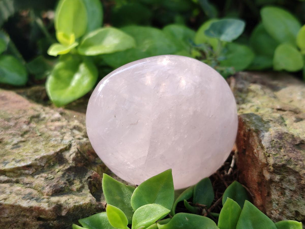 Polished Gemmy Rose Quartz Palm Stones x 24 From Madagascar - Toprock Gemstones and Minerals 
