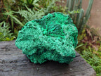 Natural Large Cabinet Silky Malachite Specimen x 1 From Kasompe, Congo - Toprock Gemstones and Minerals 