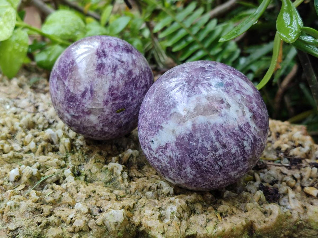 Polished Lepidolite Spheres x 4 From Ambatondrazaka, Madagascar - Toprock Gemstones and Minerals 