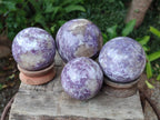 Polished Lepidolite Spheres x 4 From Ambatondrazaka, Madagascar - Toprock Gemstones and Minerals 