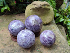 Polished Lepidolite Spheres x 4 From Ambatondrazaka, Madagascar - Toprock Gemstones and Minerals 
