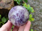 Polished Lepidolite Spheres x 4 From Ambatondrazaka, Madagascar - Toprock Gemstones and Minerals 