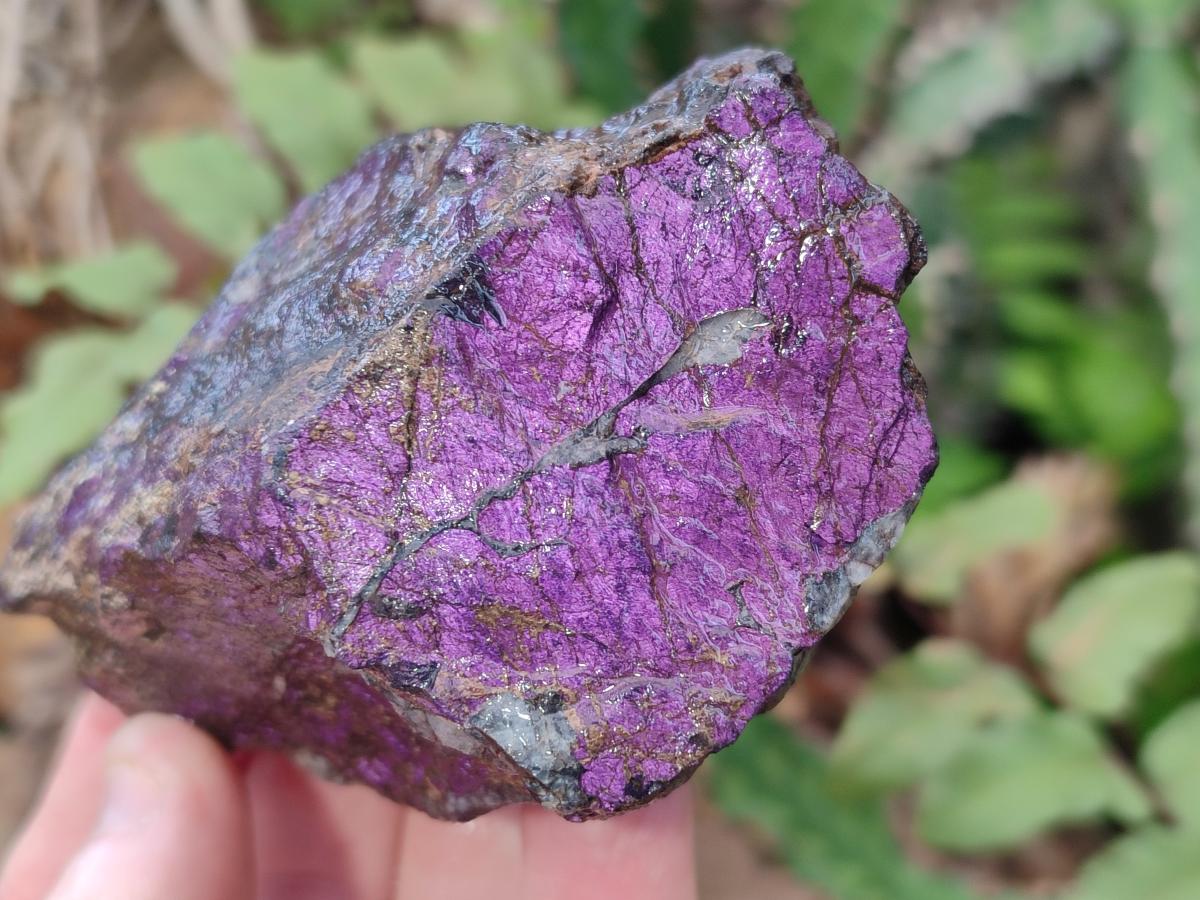 Natural Metallic Cobbed Purpurite Specimens x 6 From Erongo, Namibia - Toprock Gemstones and Minerals 