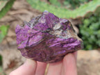Natural Metallic Cobbed Purpurite Specimens x 6 From Erongo, Namibia - Toprock Gemstones and Minerals 