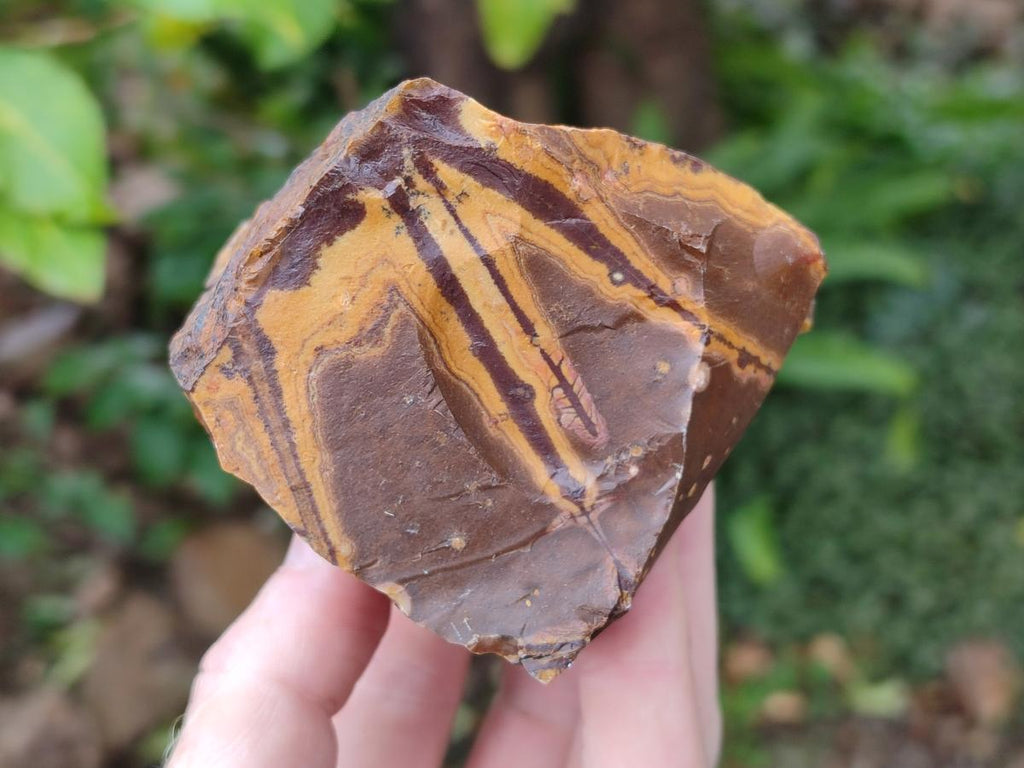 Natural Nguni Jasper Cobbed Specimens x 12 From Northern Cape, South Africa - Toprock Gemstones and Minerals 
