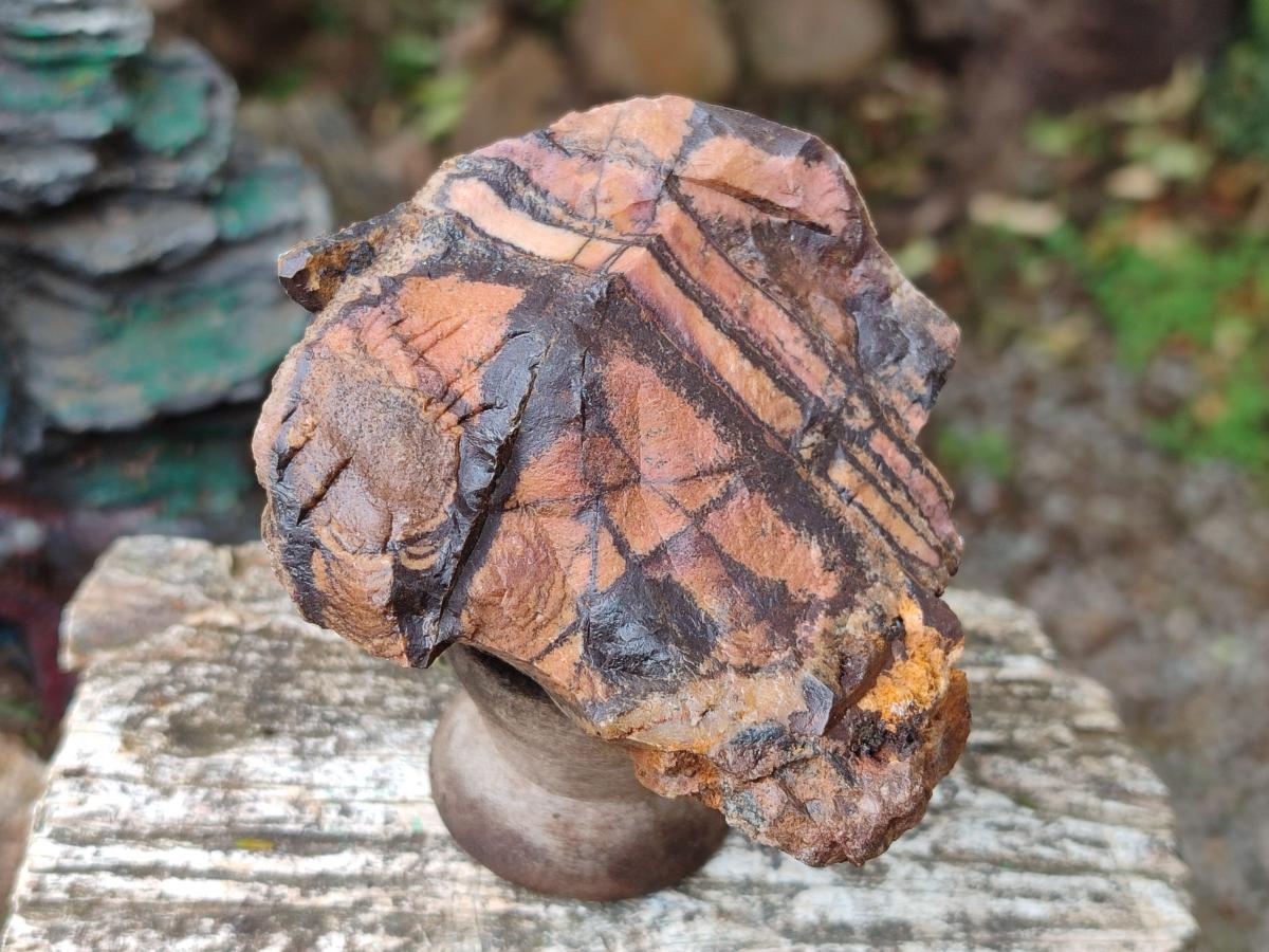 Natural Nguni Jasper Cobbed Specimens x 12 From Northern Cape, South Africa - Toprock Gemstones and Minerals 