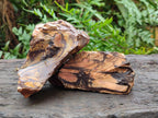 Natural Nguni Jasper Cobbed Specimens x 12 From Northern Cape, South Africa - Toprock Gemstones and Minerals 