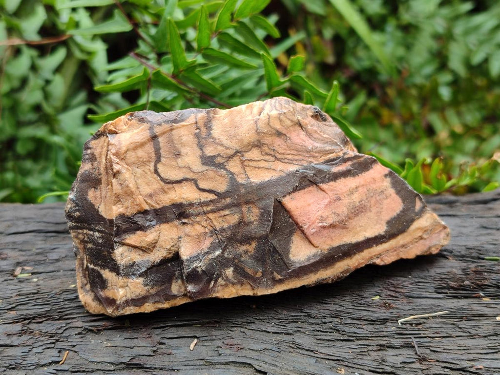 Natural Nguni Jasper Cobbed Specimens x 12 From Northern Cape, South Africa - Toprock Gemstones and Minerals 