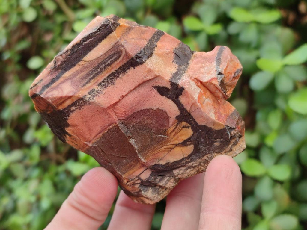 Natural Nguni Jasper Cobbed Specimens x 12 From Northern Cape, South Africa - Toprock Gemstones and Minerals 