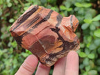 Natural Nguni Jasper Cobbed Specimens x 12 From Northern Cape, South Africa - Toprock Gemstones and Minerals 