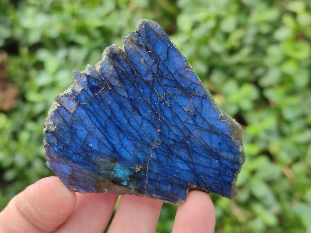 Polished One Side Labradorite Slices x 12 From Madagascar - Toprock Gemstones and Minerals 