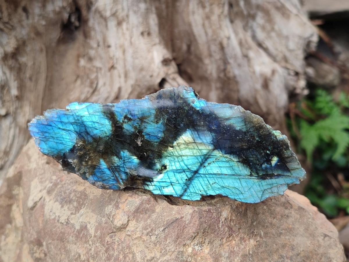 Polished One Side Labradorite Slices x 12 From Madagascar - Toprock Gemstones and Minerals 