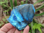 Polished One Side Labradorite Slices x 12 From Madagascar - Toprock Gemstones and Minerals 