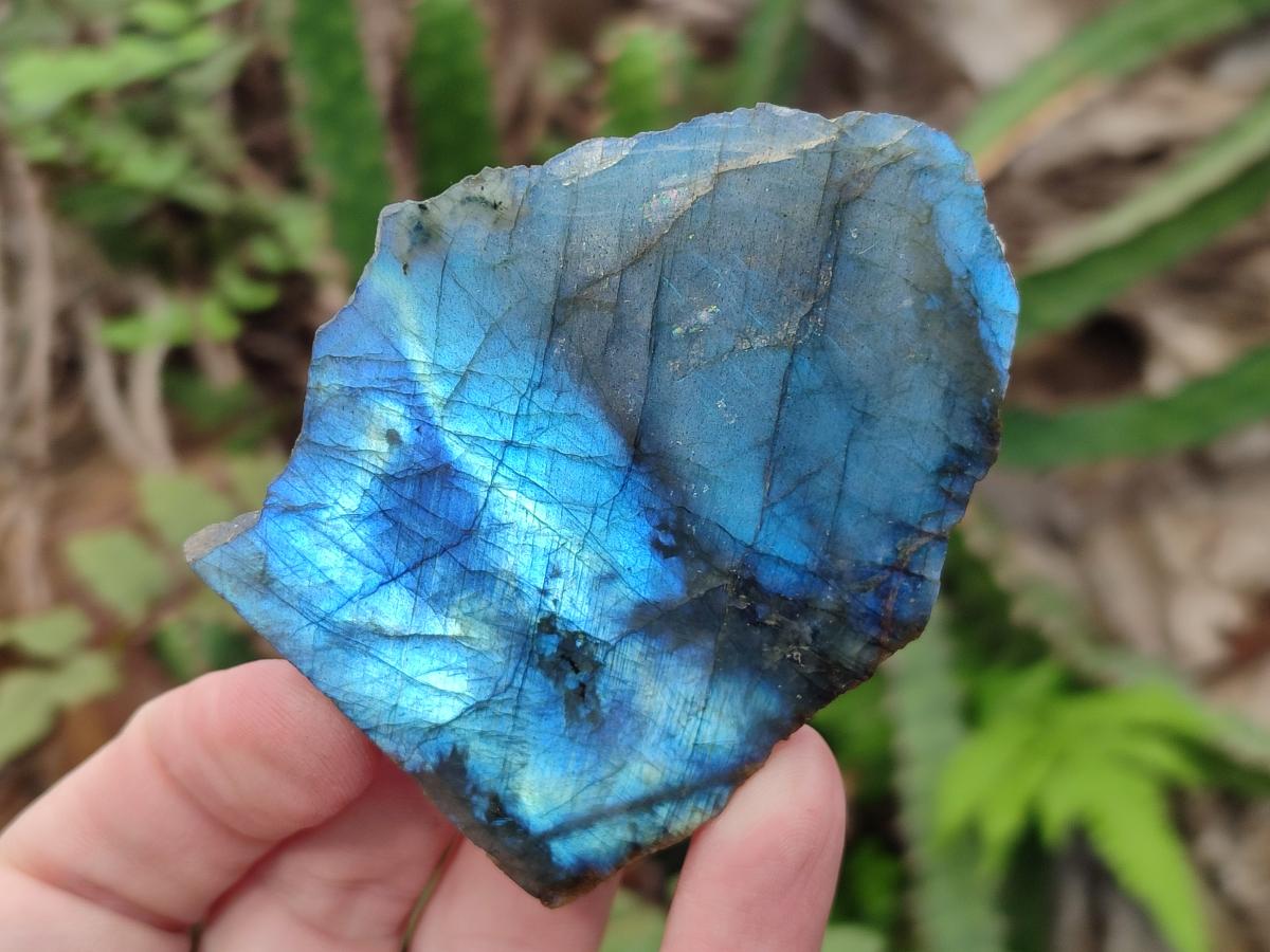 Polished One Side Labradorite Slices x 12 From Madagascar - Toprock Gemstones and Minerals 