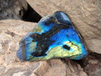 Polished One Side Labradorite Slices x 12 From Madagascar - Toprock Gemstones and Minerals 