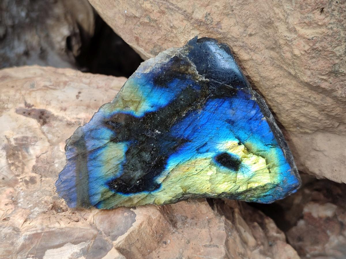 Polished One Side Labradorite Slices x 12 From Madagascar - Toprock Gemstones and Minerals 