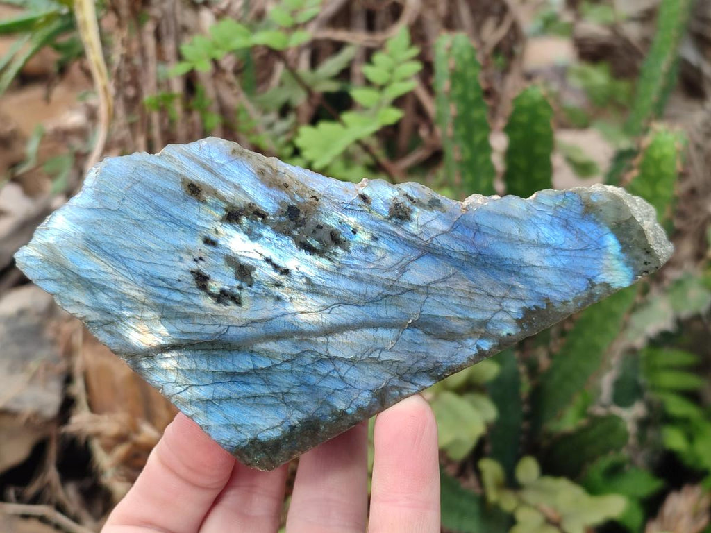 Polished One Side Labradorite Slices x 12 From Madagascar - Toprock Gemstones and Minerals 
