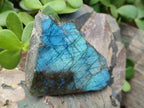 Polished One Side Labradorite Slices x 12 From Madagascar - Toprock Gemstones and Minerals 