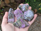 Natural Cobbed Stichtite Specimens x 35 From Barberton, South Africa - Toprock Gemstones and Minerals 