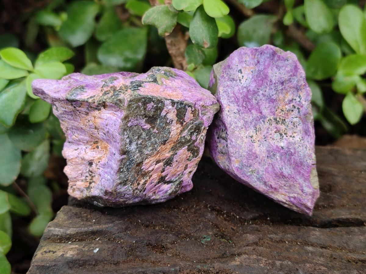 Natural Cobbed Stichtite Specimens x 35 From Barberton, South Africa - Toprock Gemstones and Minerals 