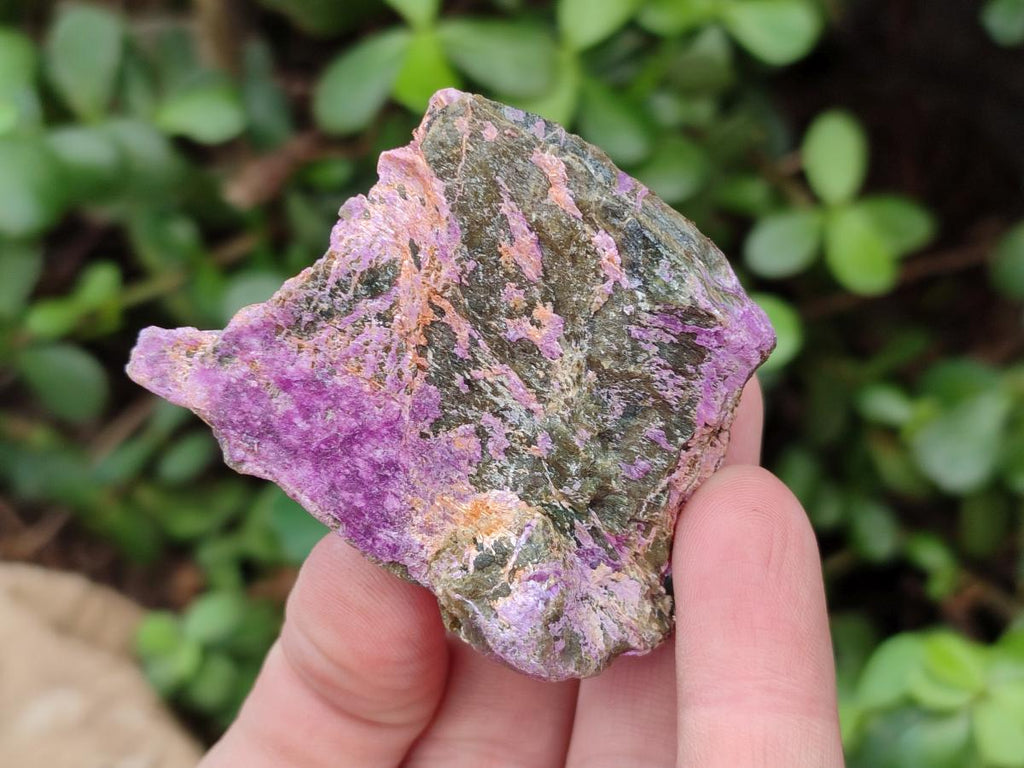 Natural Cobbed Stichtite Specimens x 35 From Barberton, South Africa - Toprock Gemstones and Minerals 