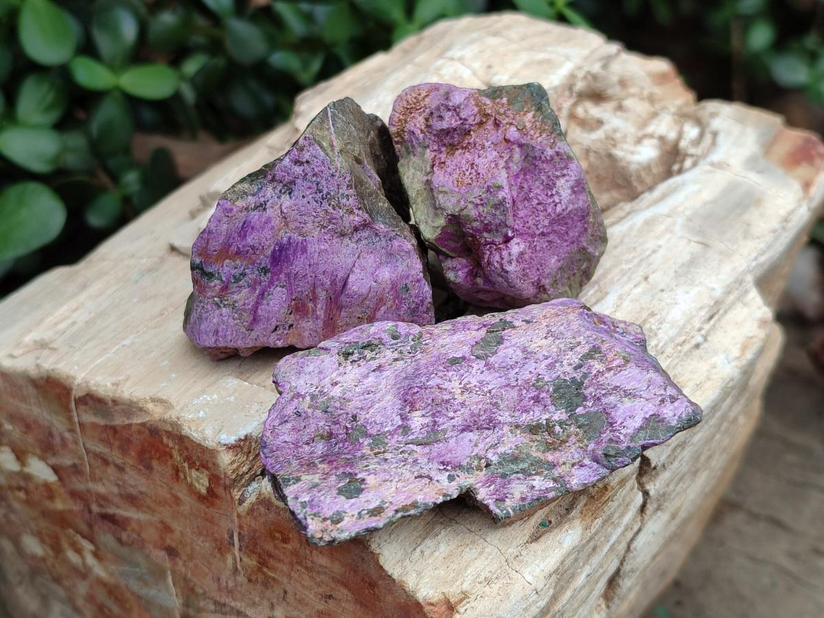 Natural Cobbed Stichtite Specimens x 35 From Barberton, South Africa - Toprock Gemstones and Minerals 