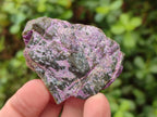 Natural Cobbed Stichtite Specimens x 35 From Barberton, South Africa - Toprock Gemstones and Minerals 