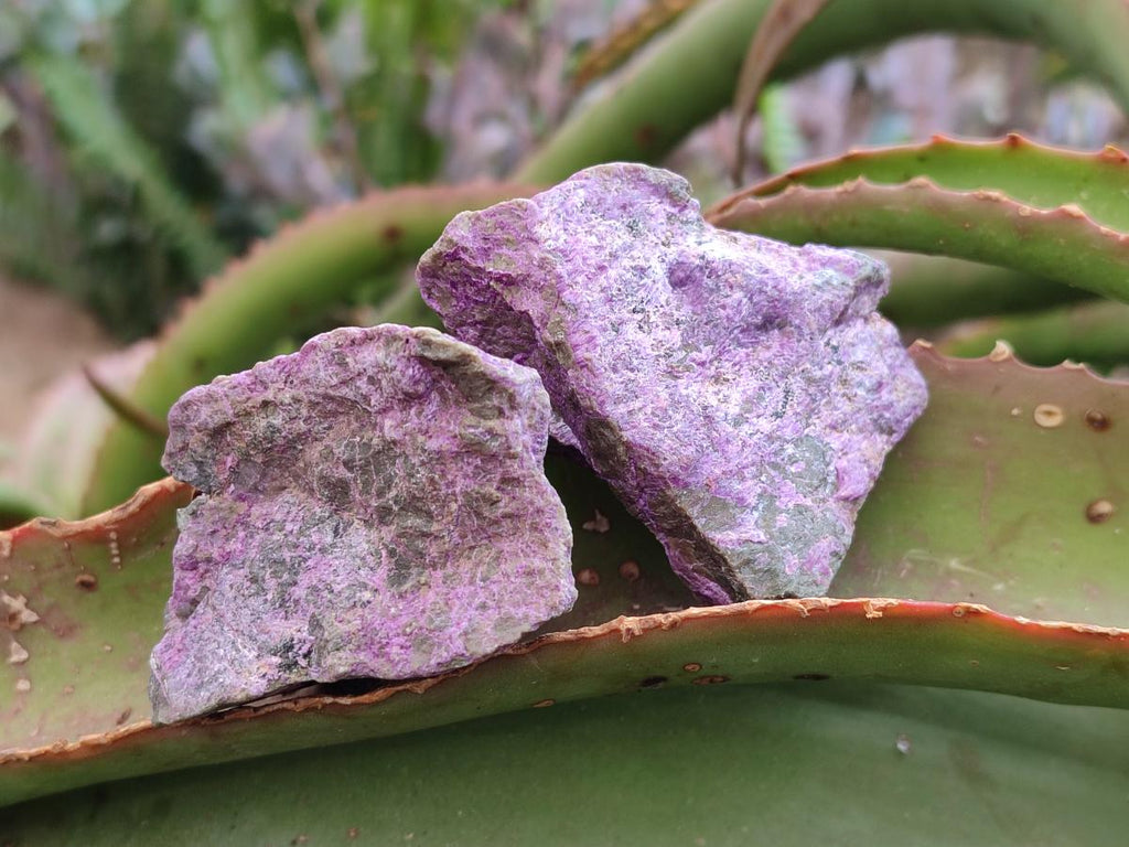 Natural Cobbed Stichtite Specimens x 35 From Barberton, South Africa - Toprock Gemstones and Minerals 