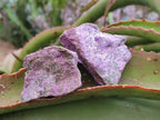 Natural Cobbed Stichtite Specimens x 35 From Barberton, South Africa - Toprock Gemstones and Minerals 