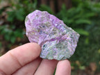 Natural Cobbed Stichtite Specimens x 35 From Barberton, South Africa - Toprock Gemstones and Minerals 