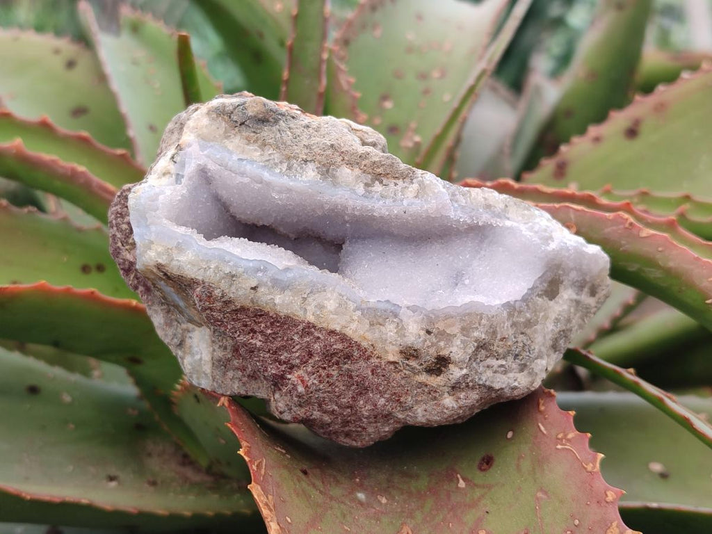Natural Blue Lace Agate Geode Specimens x 4 From Nsanje, Malawi - Toprock Gemstones and Minerals 