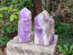 Polished Chevron Amethyst Display Crystal Points x 2 From Madagascar - Toprock Gemstones and Minerals 