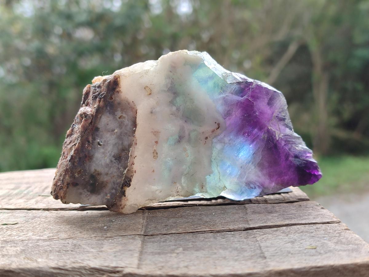Polished Watermelon Fluorite Slices x 6 From Madagascar - Toprock Gemstones and Minerals 