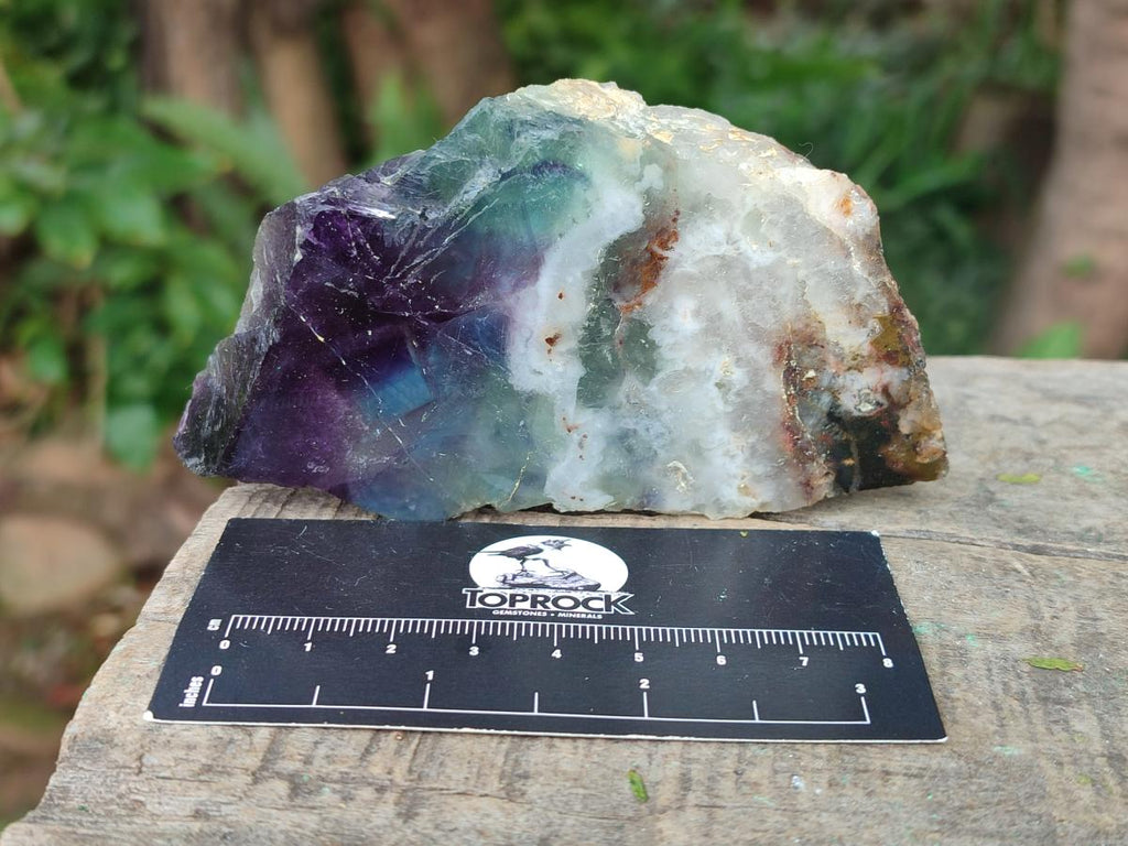 Polished Watermelon Fluorite Slices x 6 From Madagascar - Toprock Gemstones and Minerals 