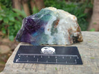 Polished Watermelon Fluorite Slices x 6 From Madagascar - Toprock Gemstones and Minerals 