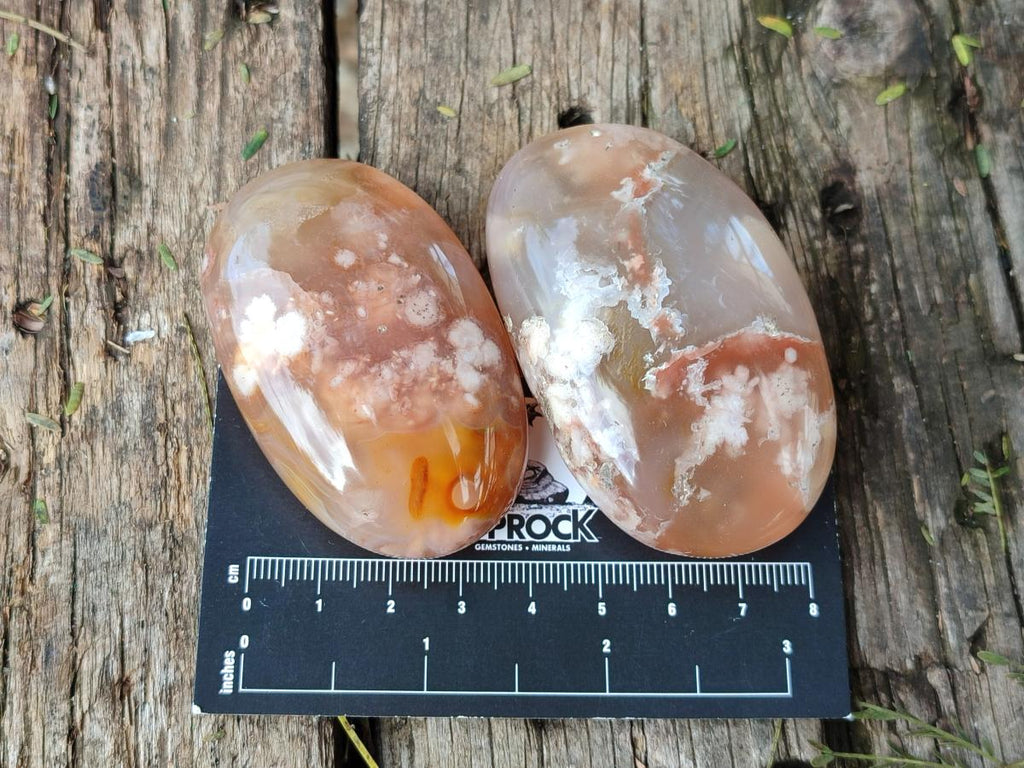 Polished Flower Agate Palm Stone x 12 From Antsahalova, Madagascar - Toprock Gemstones and Minerals 
