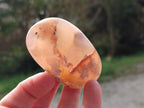Polished Flower Agate Palm Stone x 12 From Antsahalova, Madagascar - Toprock Gemstones and Minerals 