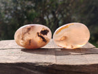 Polished Flower Agate Palm Stone x 12 From Antsahalova, Madagascar - Toprock Gemstones and Minerals 